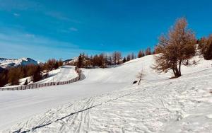 a snow covered slope with a fence and trees on it at Large Family Holiday Home Siren Stays in Leoben