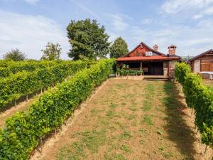 a vineyard with a house in the background at VAL HILLS Rural Holiday House in Gaj Vrbovečki