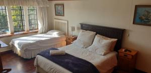 ピーターマリッツバーグにあるThe Sleeping Bao B&Bのベッドルーム1室(ベッド2台、窓2つ付)