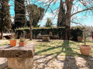 Foto dalla galleria di Casale gli ulivi a Donnini Altre 10 foto