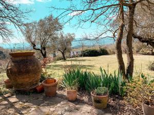 Casale gli ulivi في Donnini: وجود مزهرية كبيرة للجلوس بجانب النباتات في حديقة