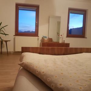 1 dormitorio con cama, tocador y espejo en Miklavževa hiša with a bread oven en Železniki