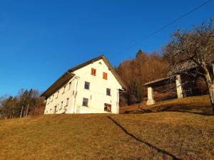 a white building on top of a grassy hill at Miklavževa hiša with a bread oven in Železniki