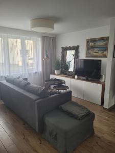 salon z kanapą i telewizorem z płaskim ekranem w obiekcie Apartament 6/3 w Pszczynie