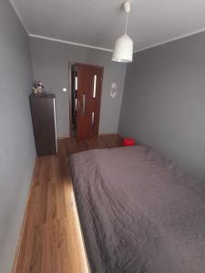 1 dormitorio con 1 cama grande en una habitación en Apartament 24, en Płock