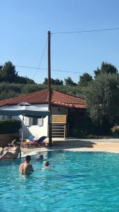 a group of people in a swimming pool at Olympic Bibis Hotel in Metamorfosi