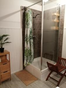 La salle de bains est pourvue d'une douche avec une porte en verre. dans l'établissement Hotel la coursive, à La Cotinière