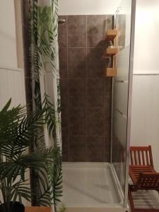 eine Dusche mit Glastür neben einer Pflanze in der Unterkunft Hotel la coursive in La Cotinière
