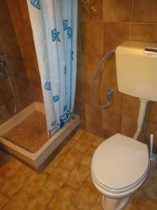a bathroom with a toilet and a shower at Christos ΙΙ in Asvestokhórion