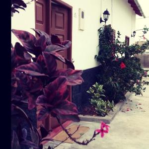 una puerta a una casa con flores rojas delante de ella en Kaza Ladera en Seladinha