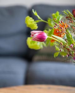 een roze bloem in een vaas op een tafel bij Hoeve de Binnenplaets Schimmert in Schimmert