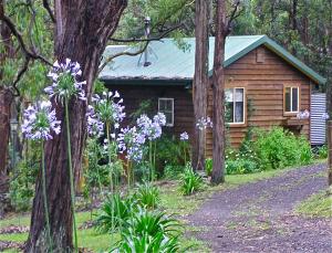 une maison avec des fleurs violettes devant elle dans l'établissement Rustic Spirit, à Bilpin