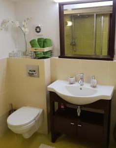 bagno con lavandino, servizi igienici e specchio di Chatka Beskidzka a Targanice