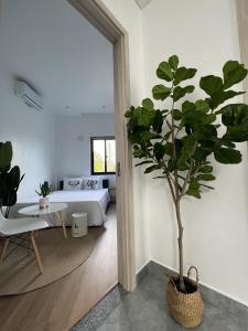 ein Schlafzimmer mit einem Bett und einem Topf in der Unterkunft ANH’s HOUSE in Hue