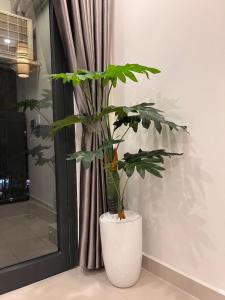 una planta en una olla blanca junto a una ventana en Vinhome Grand Park Homestay House, en Gò Công