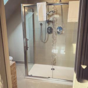 a bathroom with a shower with a glass door at LakeviewLodge in Wicklow +17 photos