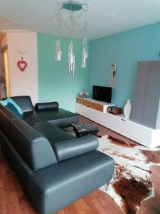 - un salon avec un canapé en cuir noir et des murs bleus dans l'établissement Appartement Baju, à Bad Urach