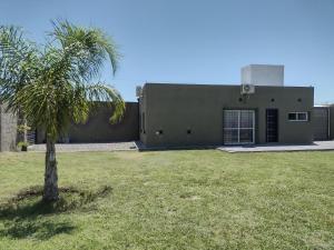 a palm tree in a yard in front of a building at Lomas del Mirador in San Fernando del Valle de Catamarca
