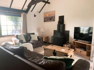 a living room with a couch and a tv at Hallagenna Cottages in Bodmin