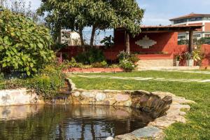 a pond in a yard with a house in the background at Casa dos Mortágua in Fermelã