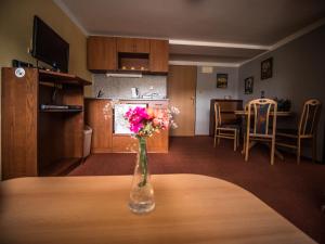 Eldhús eða eldhúskrókur á Hotel Holzbecher Ratibořice