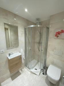 een badkamer met een douche, een toilet en een wastafel bij Riviera Eden Palace in Cannes