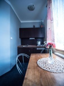 Eldhús eða eldhúskrókur á Hotel Holzbecher Ratibořice