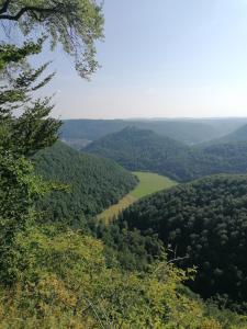 - une vue depuis le sommet d'une colline avec une vallée verdoyante dans l'établissement Appartement Baju, à Bad Urach