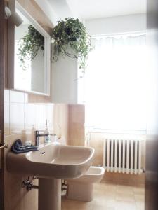 松德里奧的住宿－Casa Nina，一间带水槽、卫生间和镜子的浴室