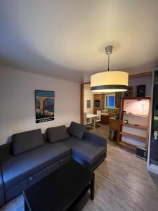 un soggiorno con divano e TV di appartement fond de jardin 1 étage a Palaiseau