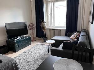 uma sala de estar com um sofá e uma televisão de ecrã plano em Beautiful city apartment at Kallio em Helsinque