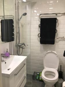 uma casa de banho com um WC, um chuveiro e um lavatório. em Beautiful city apartment at Kallio em Helsinque
