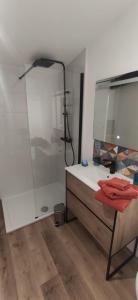 a bathroom with a shower and a sink at Lou Cantou in Nègrepelisse