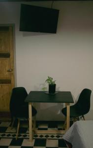 a table with a potted plant on it in a room at El Alero Hospedaje in Mendoza