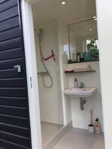 uma casa de banho com um chuveiro e um lavatório. em de Veldwachter em 't Zand