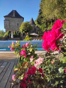 Vonkajšia záhrada v ubytovaní Château de Chauvac - Chambres et table d'hôtes avec vue sur la rivière