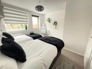 two beds in a room with a window at Cambridge Stay Cozy home with Wi-Fi, Parking Perfect for 2 in Cherry Hinton