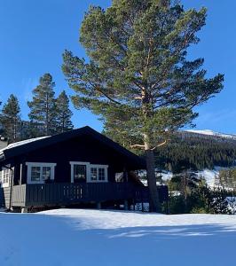 a log cabin with a tree in the snow at Uvdalhytta - close to cross country and downhill skiing in Sønstebø