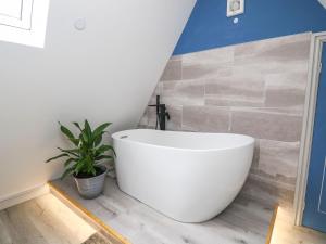 a bathroom with a white tub and a plant at Hill Radnor - The Sheepfold in Llandrindod Wells
