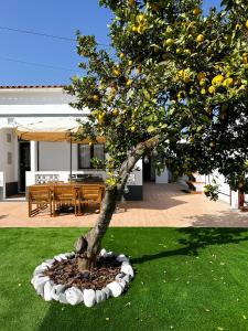 a small lemon tree in a yard next to a patio at Sanzi Country House in Tavira