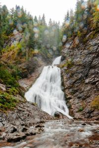 Φωτογραφία από το άλμπουμ του Pensiunea Popas in Apuseni σε Rachitele