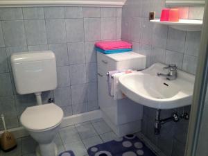 Vannituba majutusasutuses Ferienhaus Nickl