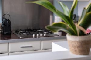 uma cozinha com um fogão e um vaso de plantas em Maison - Le Terra Verde - Terrasse em Haguenau