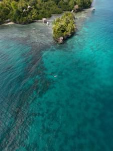 an aerial view of an island in the water at Araya Dive Resort Togean in Bomba