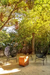 un grupo de tres sillas sentadas bajo un árbol en Pousada Verde Mar, en Trancoso