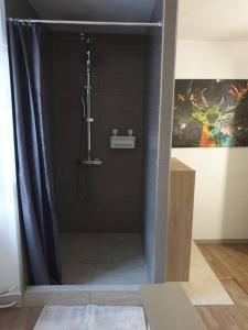 W łazience znajduje się prysznic z zasłoną prysznicową. w obiekcie MAISON NGP w mieście Aigueblanche
