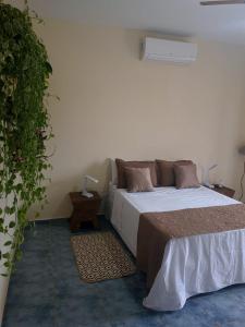 a bedroom with a bed and a plant at Estação Brotense - Casa com piscina e fogueira exclusiva in Brotas