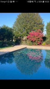 uma piscina de água com flores e árvores rosa em Gîte cocooning avec piscine em Bougé-Chambalud
