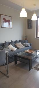 salon z kanapą i szklanym stołem w obiekcie Central Apartments Garnizon 928 & Parking w Gdańsku