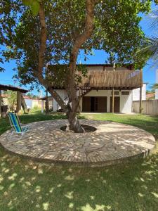 un árbol y una silla sentados bajo un árbol en Surfer Oasis Gostoso, en São Miguel do Gostoso